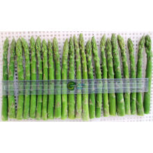 IQF Frozen Chinese Green Asparagus Spears